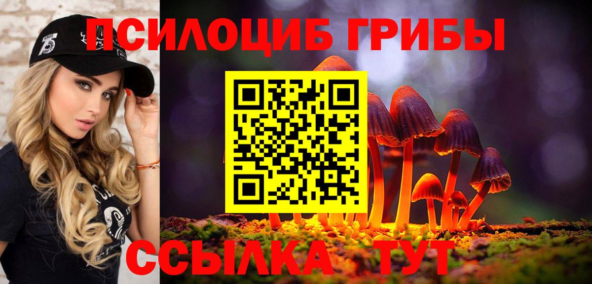 купить наркоту  Вход с VPN  Минеральные Воды  Галлюциногенные грибы Cubensis 